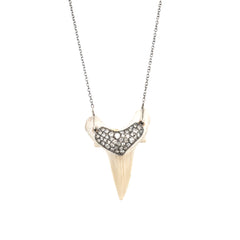 Shark Tooth Necklace