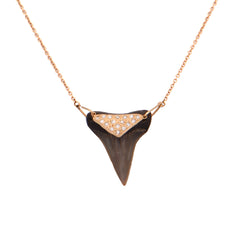 Shark Tooth Necklace